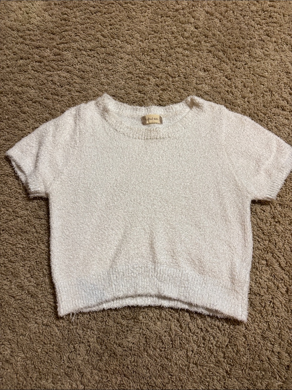 Altar'd State Cream Short Sleeve Fuzzy Crop Top